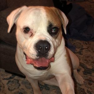 Meet your Posher, Sara